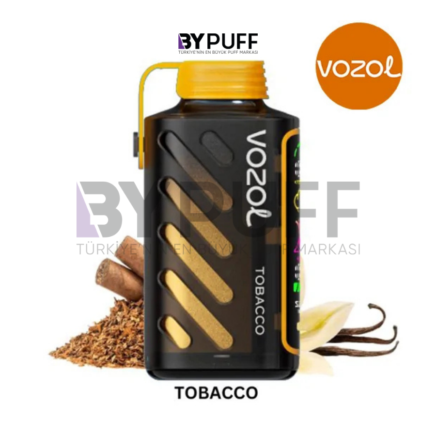 Vozol Gear Power 20000